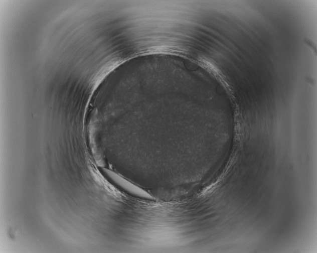 X0000101140892200807251023