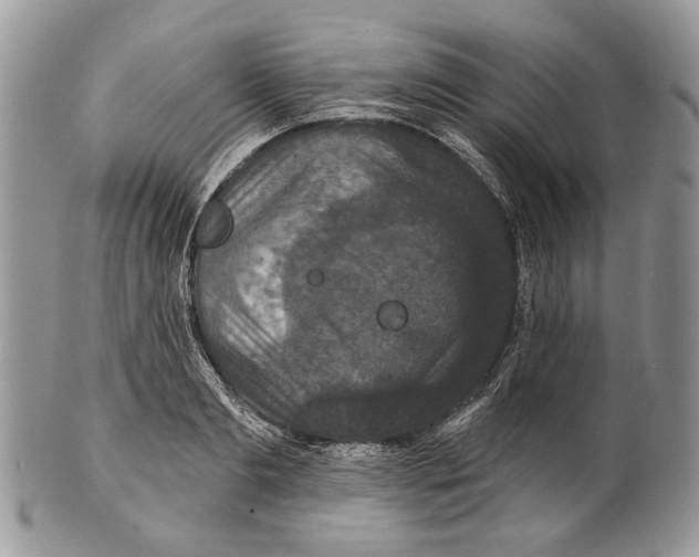 X0000101140893200807251023