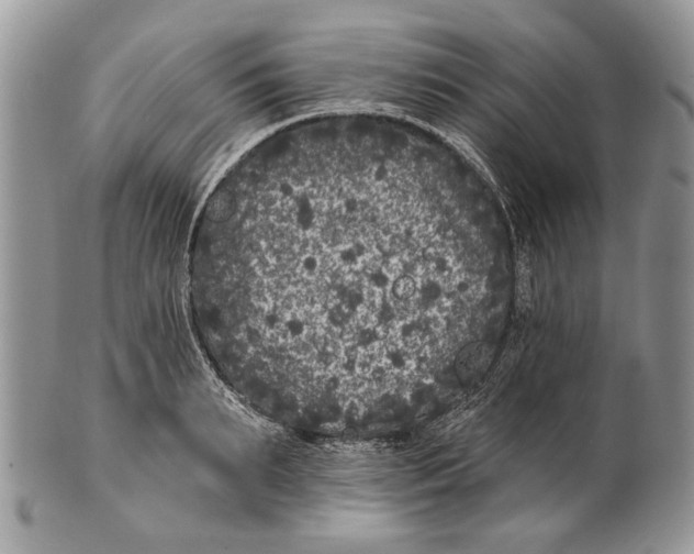 X0000101140895200807251023