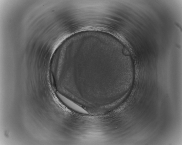 X0000101140896200807251023