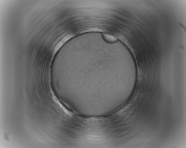 X0000101140898200807251023