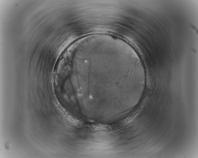 X0000101140899200807251023