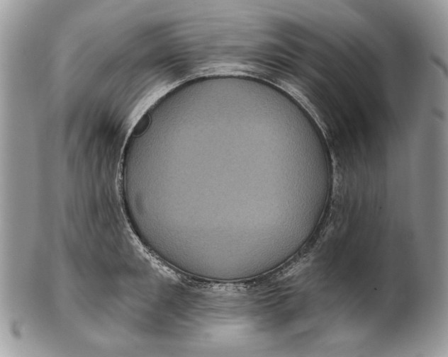 X0000101140901200807251023