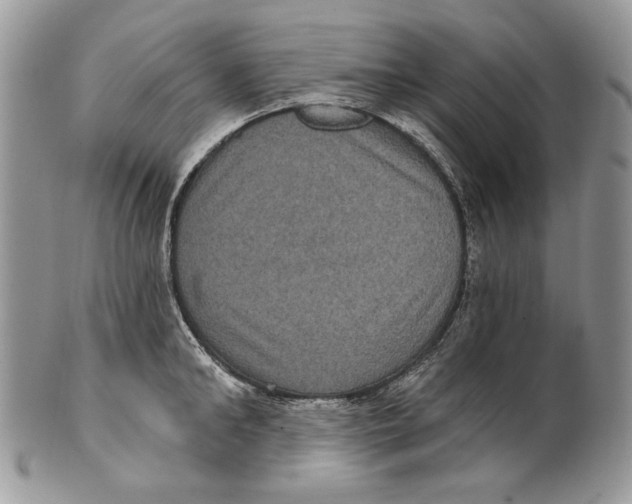 X0000101140902200807251023