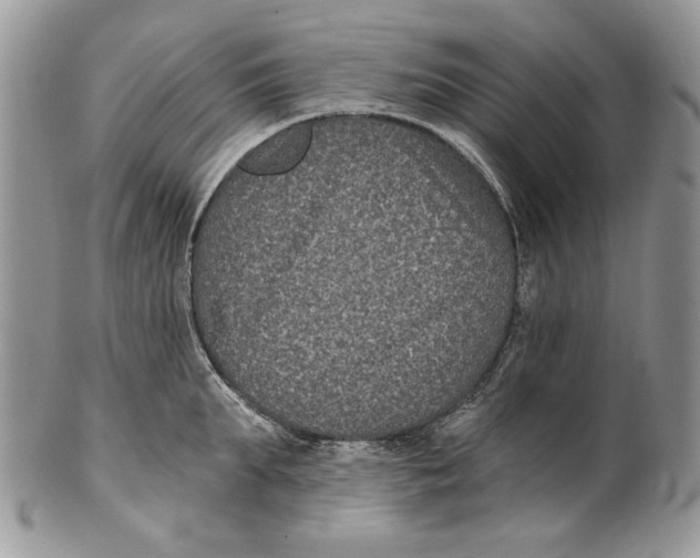 X0000101140903200807251023