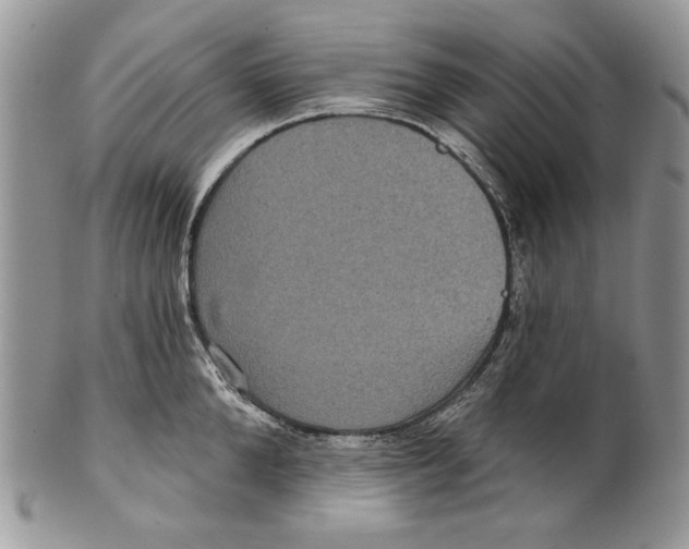 X0000101140904200807251023