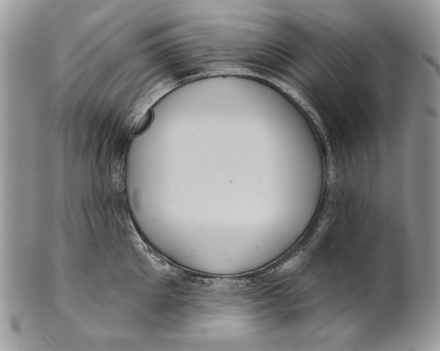 X0000101140905200807251023