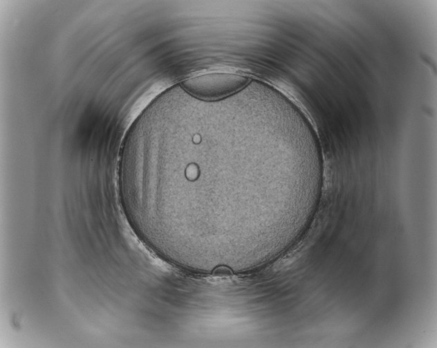 X0000101140906200807251023