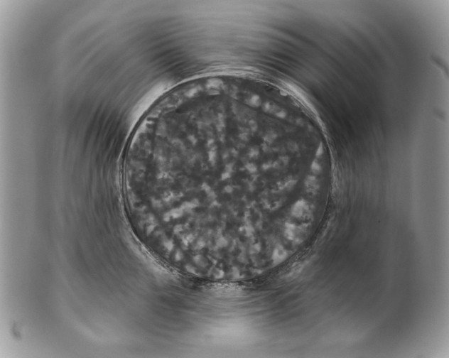 X0000101140907200807251023