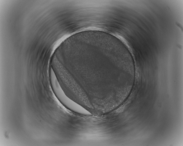 X0000101140910200807251023