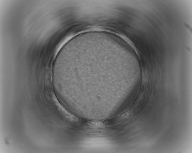 X0000101140911200807251023