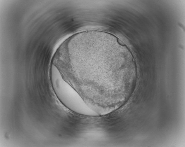 X0000101140912200807251023