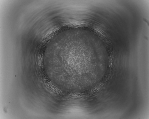 X0000101140917200807251022