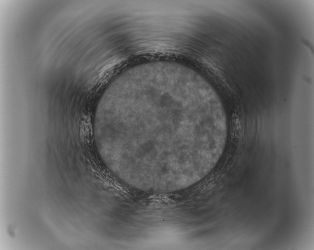 X0000101140918200807251022