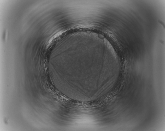 X0000101140920200807251022