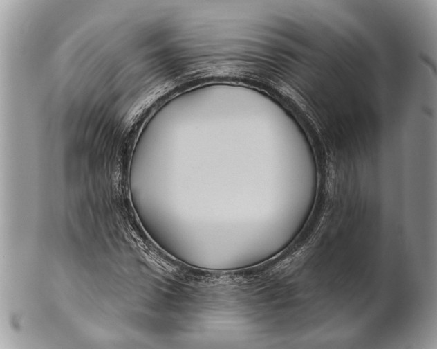 X0000101140922200807251023