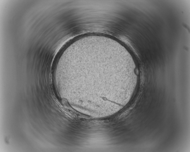 X0000101140924200807251023