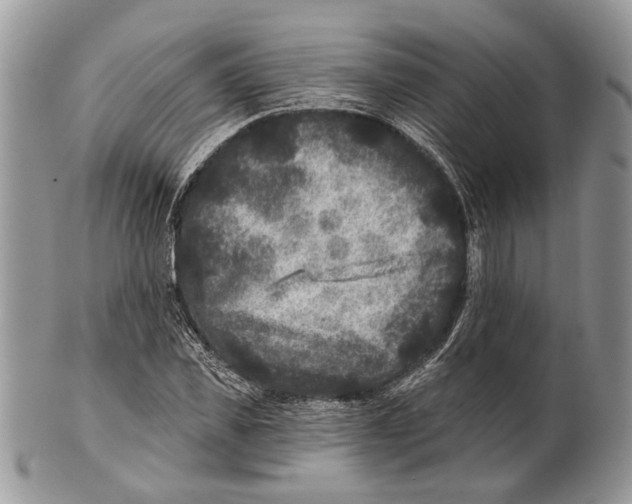 X0000101140925200807251023