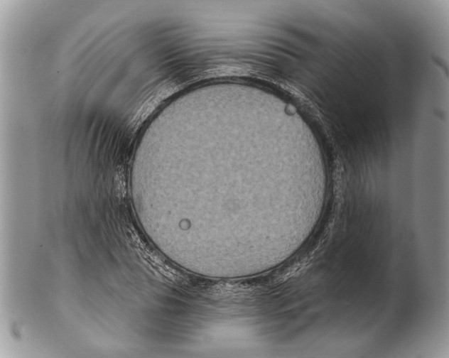 X0000101140929200807251023