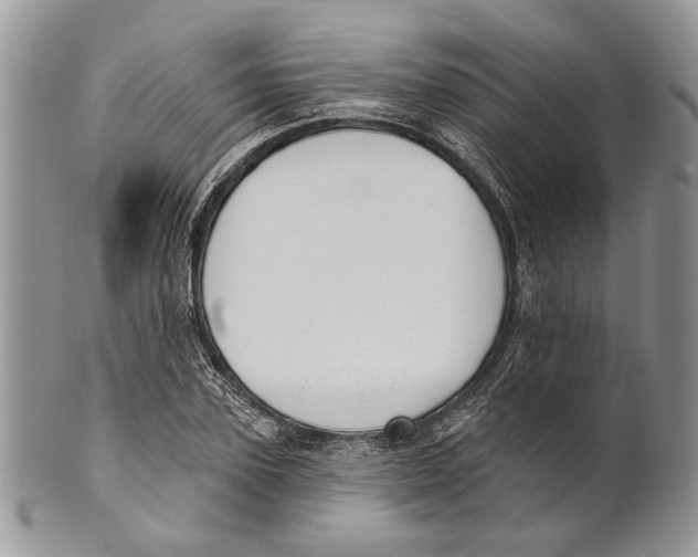 X0000101140931200807251023