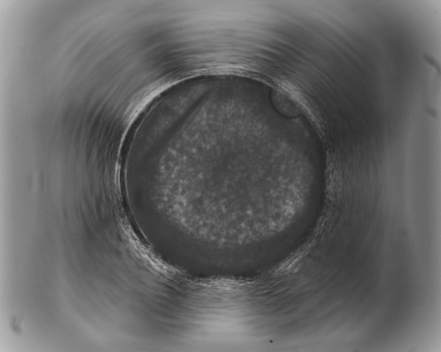 X0000101140932200807251023