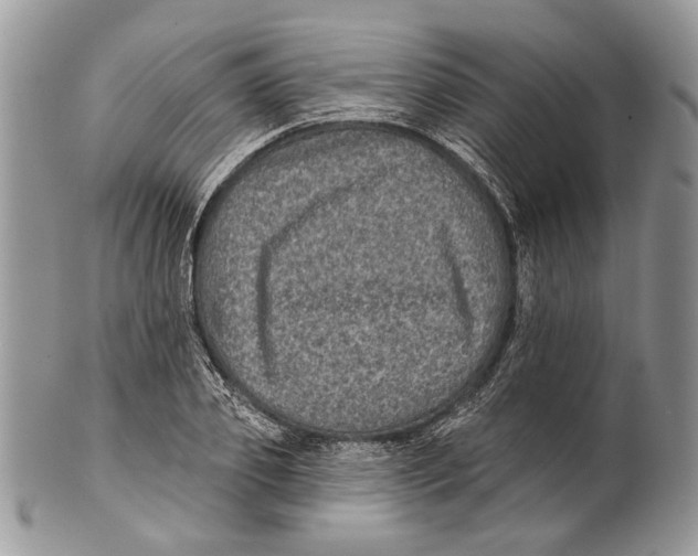 X0000101140933200807251023