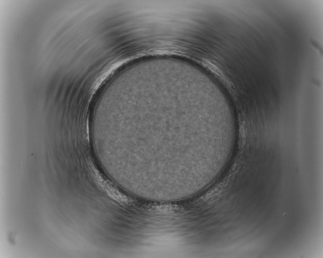 X0000101140934200807251023