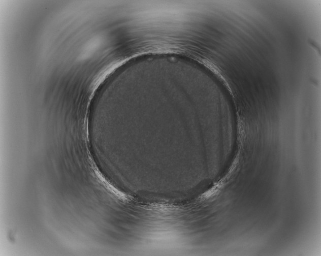 X0000101140935200807251023