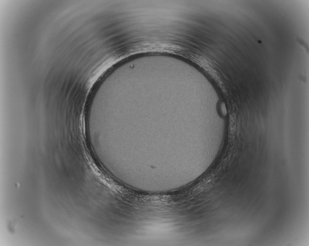 X0000101140936200807251023