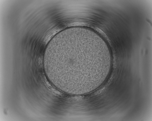 X0000101140937200807251023