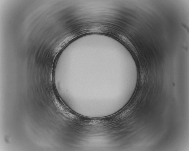 X0000101140938200807251023