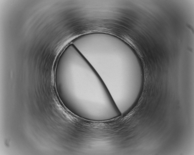 X0000101140940200807251023