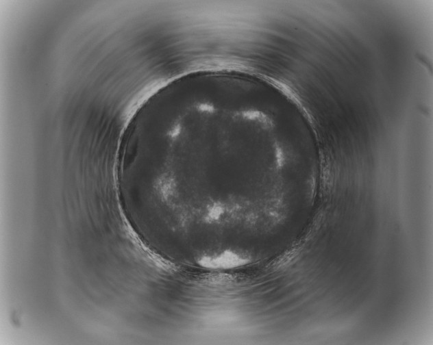 X0000101140943200807251023