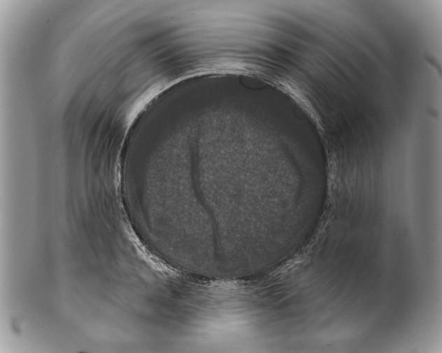 X0000101140944200807251023