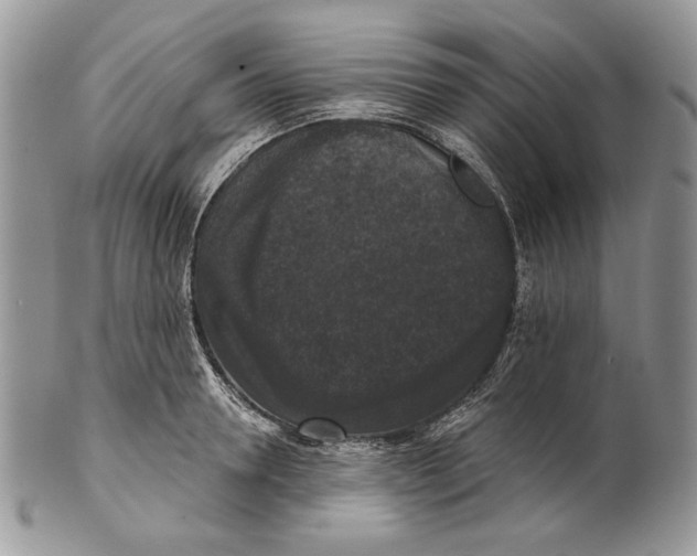 X0000101140946200807251023