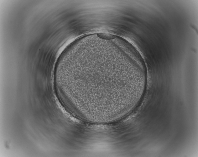 X0000101140949200807251023