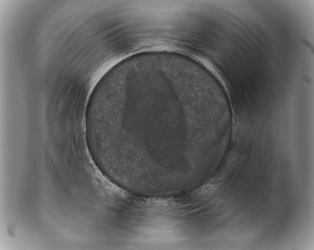 X0000101140951200807251023