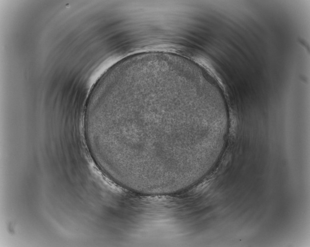 X0000101140952200807251023