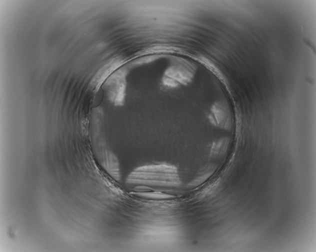 X0000101140953200807251023