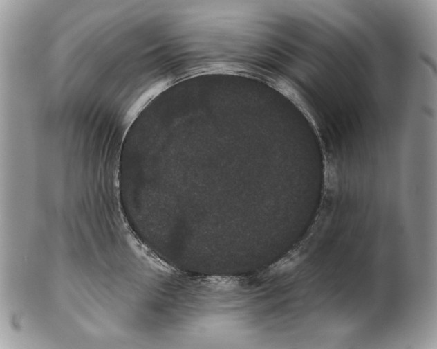 X0000101140954200807251023