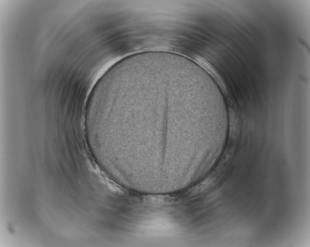 X0000101140956200807251023