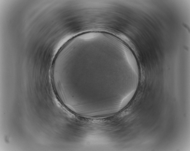 X0000101140958200807251023