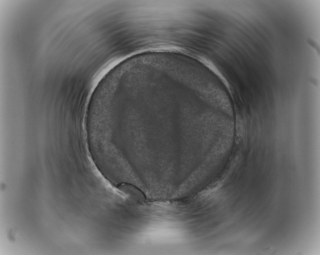 X0000101140959200807251023