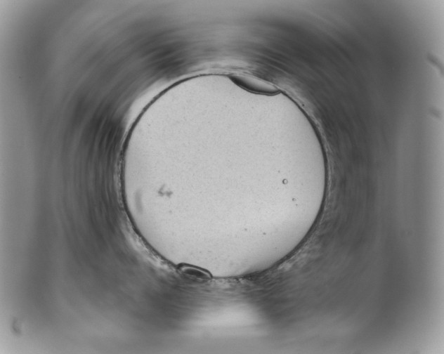 X0000101140960200807251023