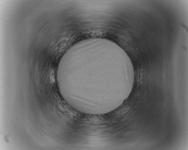 X0000101140962200807251022