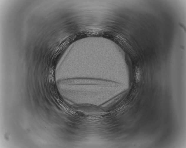 X0000101140964200807251022