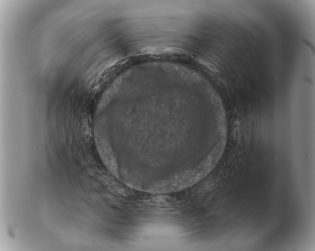 X0000101140966200807251022