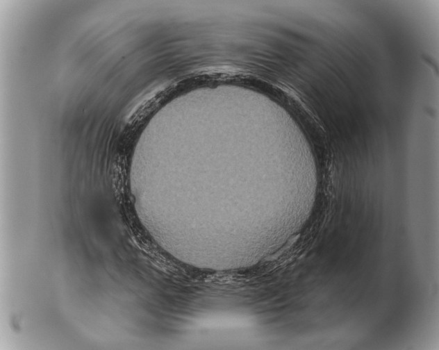 X0000101140967200807251022