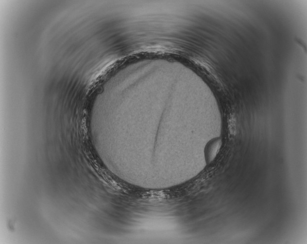 X0000101140968200807251022