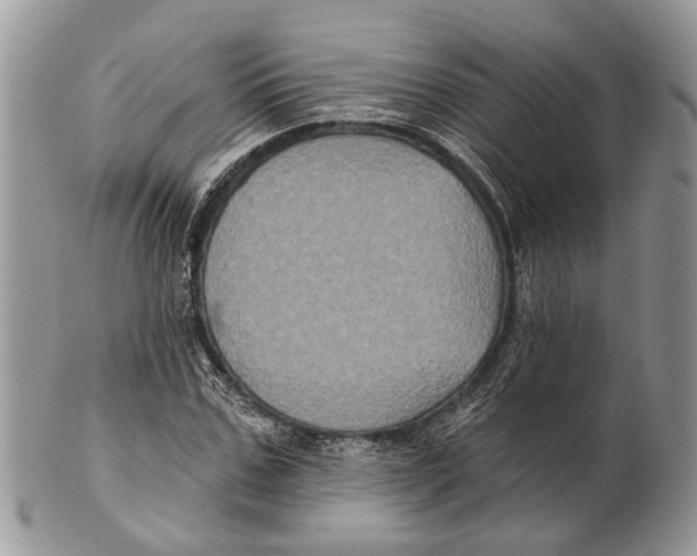 X0000101140971200807251022